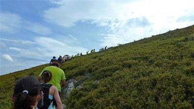 TEV walking the hill